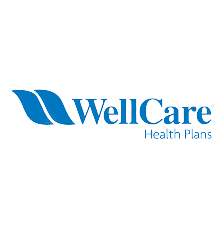 wellcare_logo-removebg-preview